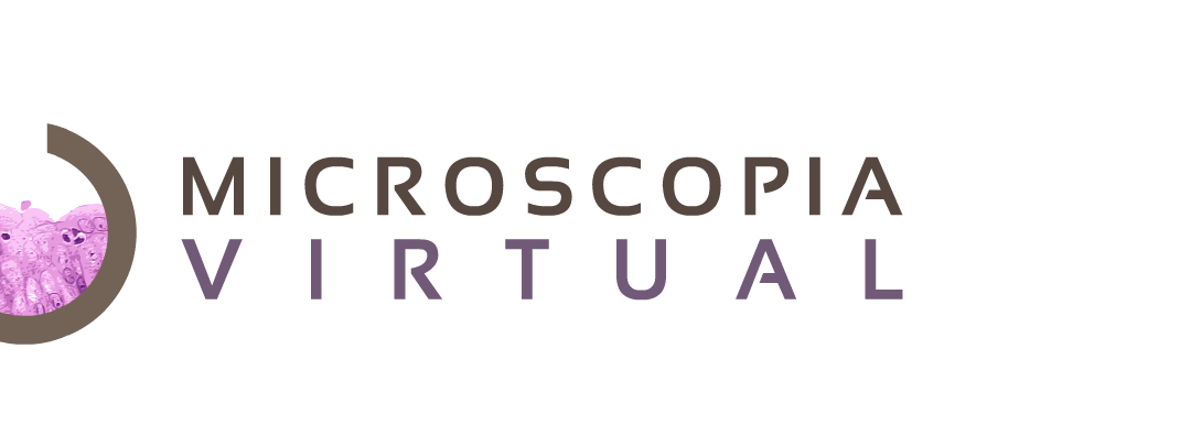 First Chilean Symposium on Digital Pathology and Virtual Microscopy 2015
