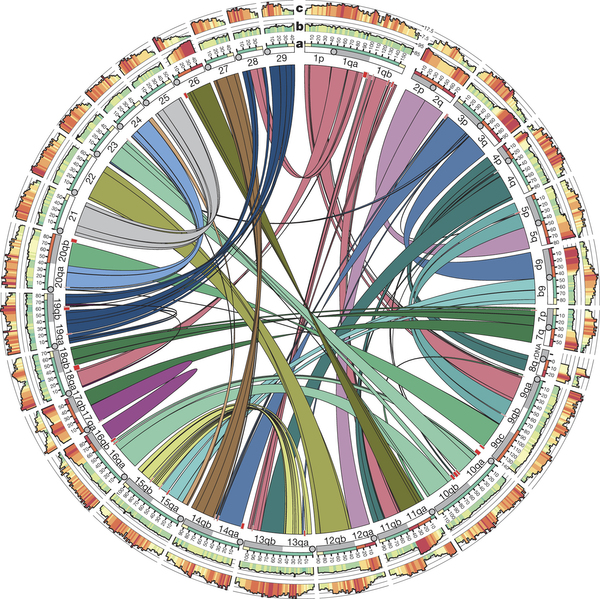 Researchers at CMM collaborate in salmon genome paper published in the prestigious journal Nature