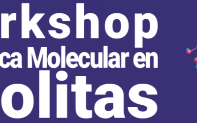Workshop Dinámica Molecular en Zeolitas