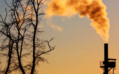 Análisis de la calidad del aire: un aporte para la conservación del medioambiente en Chile.